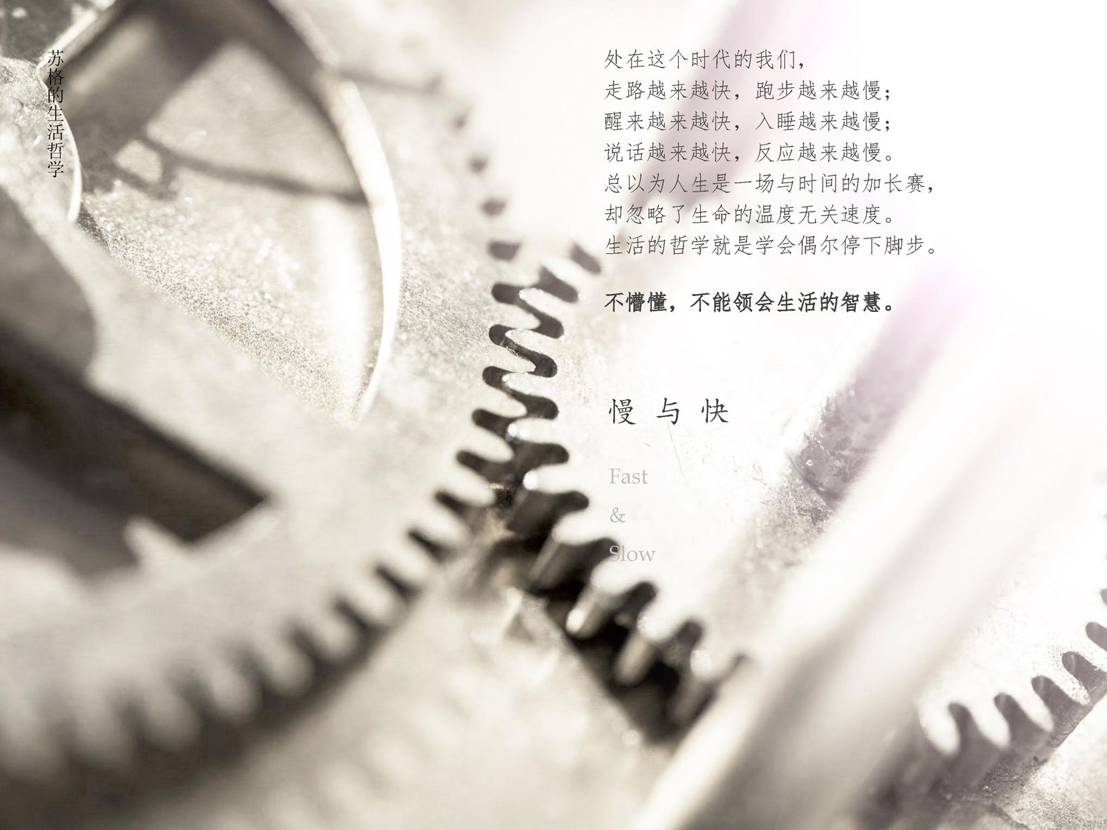 1ca9b6541086df3a7ec440cae47010b11568199780.jpg 蘇格品牌介紹_0510(音頻版)_頁面_06.jpg