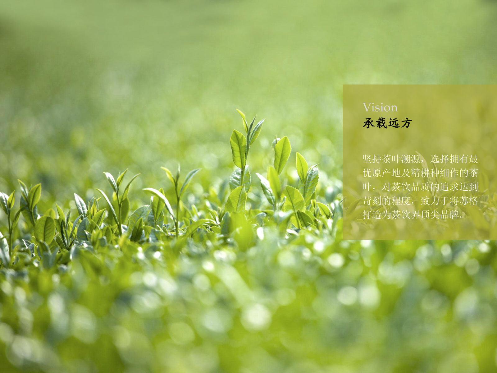 4b84ee4cb24466ed6bba602fd96120901568199974.jpg 蘇格品牌介紹_0510(音頻版)_頁面_36.jpg