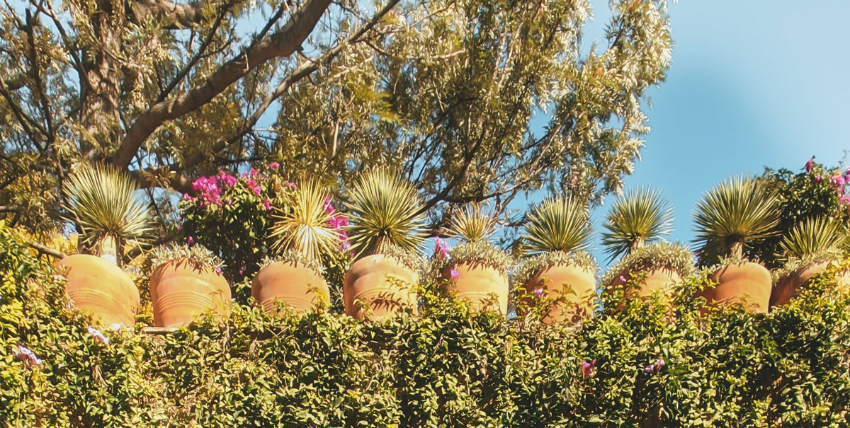 深圳品牌設計 深圳品牌設計