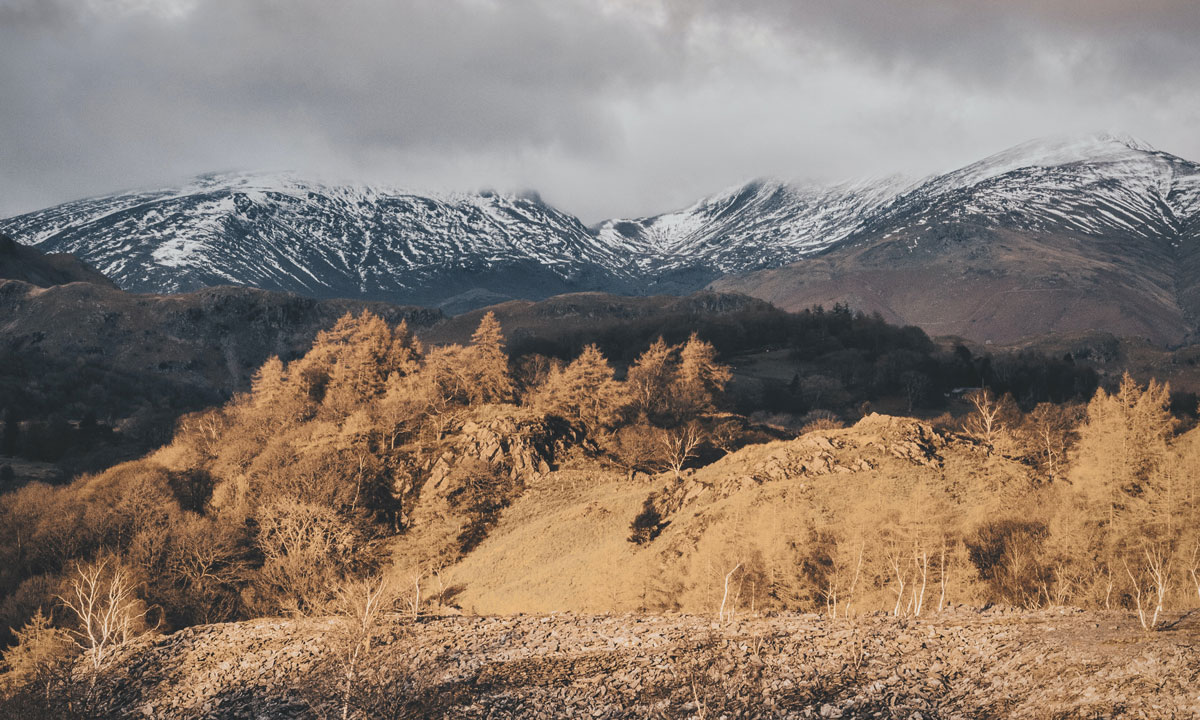 品牌策劃設計公司 品牌策劃設計公司