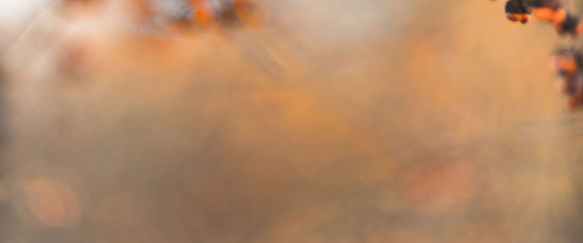 深圳包裝設(shè)計公司 深圳包裝設(shè)計公司