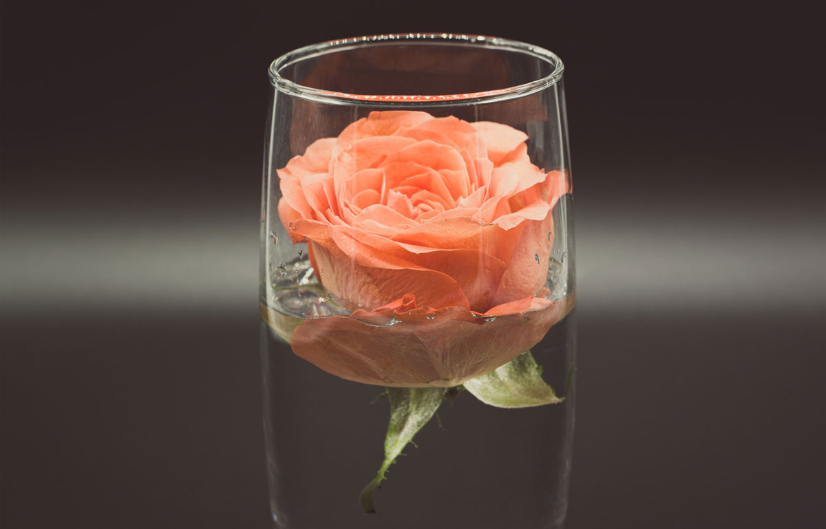 快消品包裝設計公司 快消品包裝設計公司