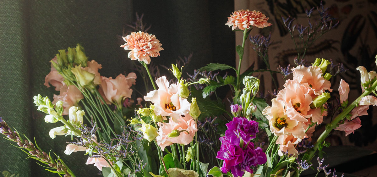 品牌策劃設(shè)計(jì)公司 品牌策劃設(shè)計(jì)公司