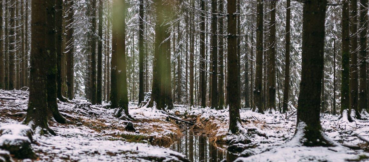 快消品包裝設計公司 快消品包裝設計公司