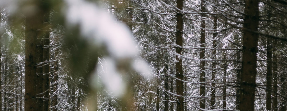 品牌設計公司 品牌設計公司