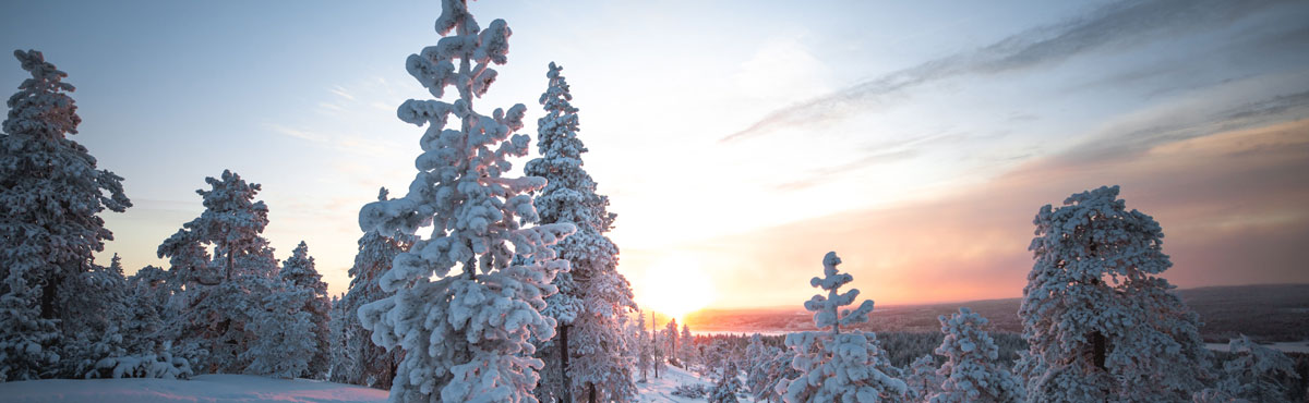 品牌全案設(shè)計公司 品牌全案設(shè)計公司