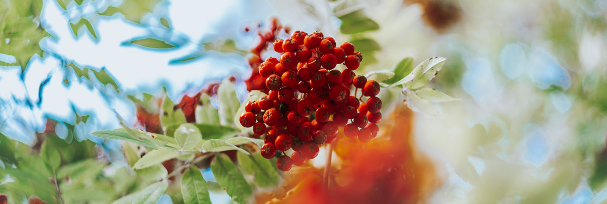 深圳平面設(shè)計(jì)公司 深圳平面設(shè)計(jì)公司