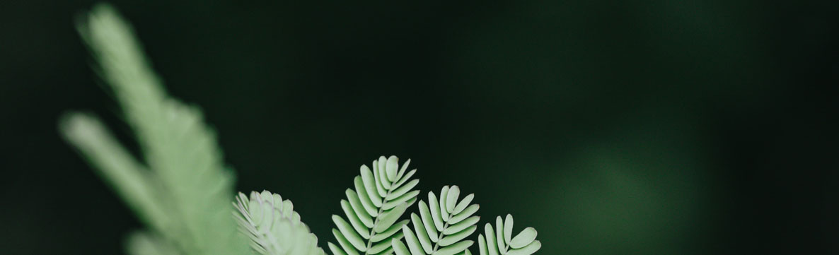 深圳平面設(shè)計公司 深圳平面設(shè)計公司