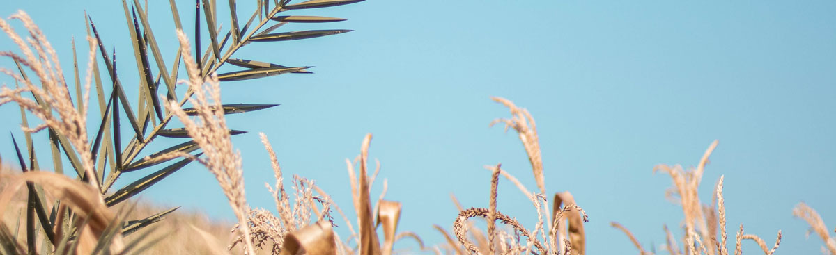 品牌設(shè)計(jì)公司 品牌設(shè)計(jì)公司