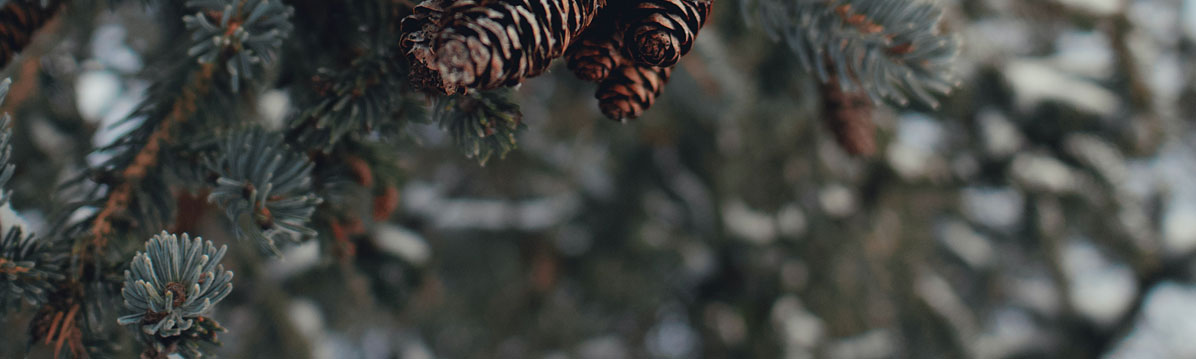 深圳平面設計公司 深圳平面設計公司