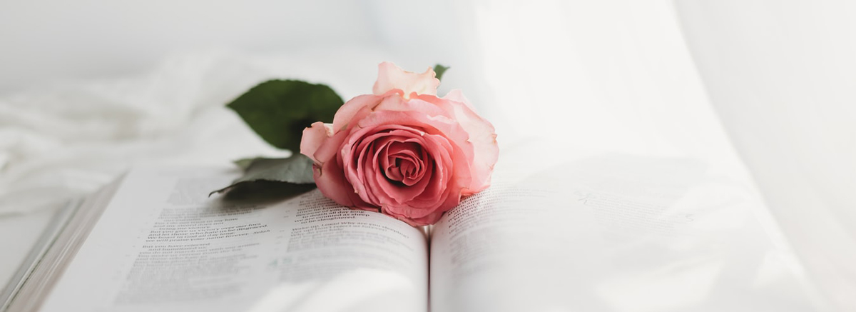 包裝設(shè)計(jì)公司 包裝設(shè)計(jì)公司