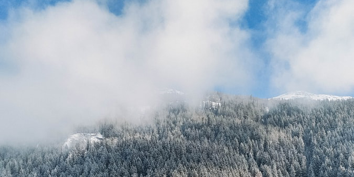 品牌策略全案設計 品牌策略全案設計
