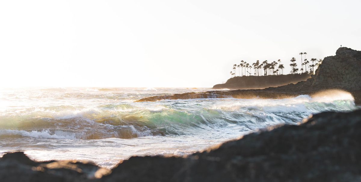 品牌設(shè)計(jì)公司 品牌設(shè)計(jì)公司