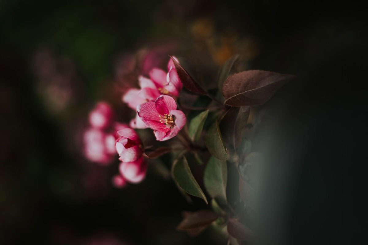 深圳平面設(shè)計公司 深圳平面設(shè)計公司