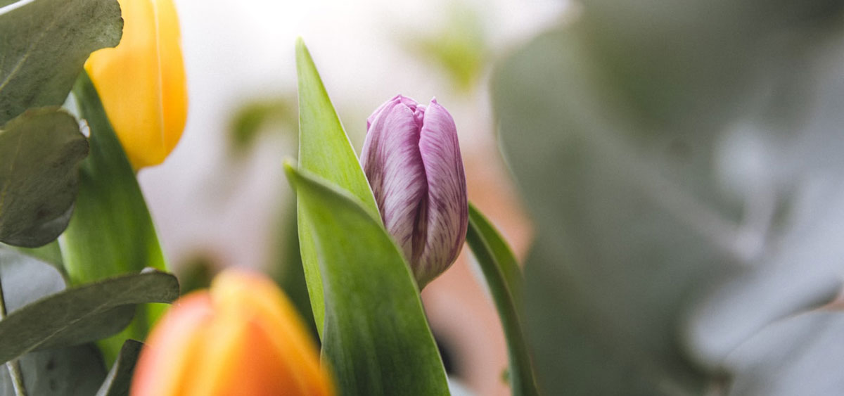 品牌全案設計公司 品牌全案設計公司