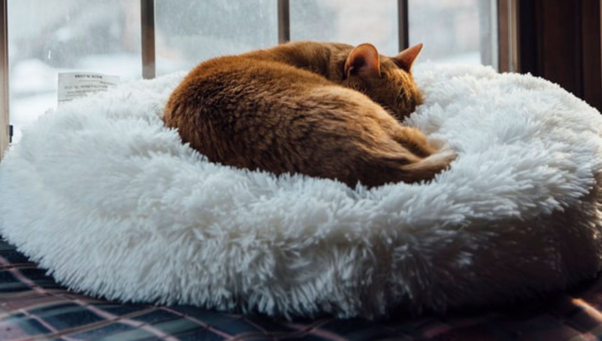 產(chǎn)品形象包裝設(shè)計 產(chǎn)品形象包裝設(shè)計