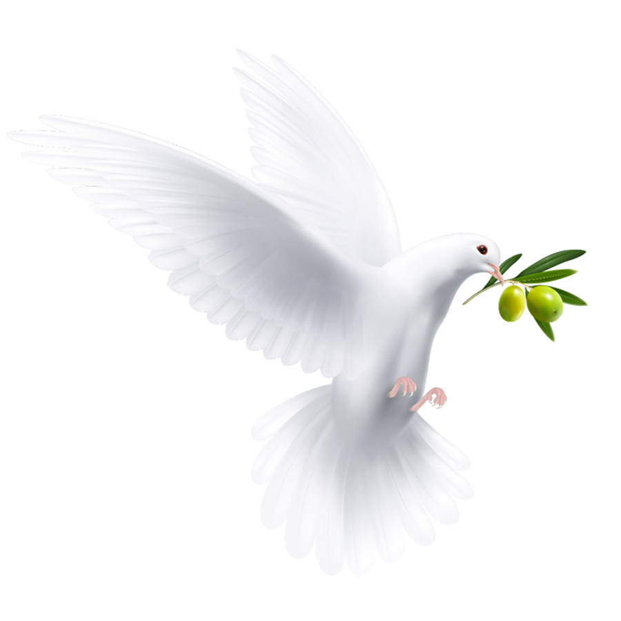 5ab1cf85a755a9d385273b9b3c1225c11622725914.jpg 主視覺——方形.jpg